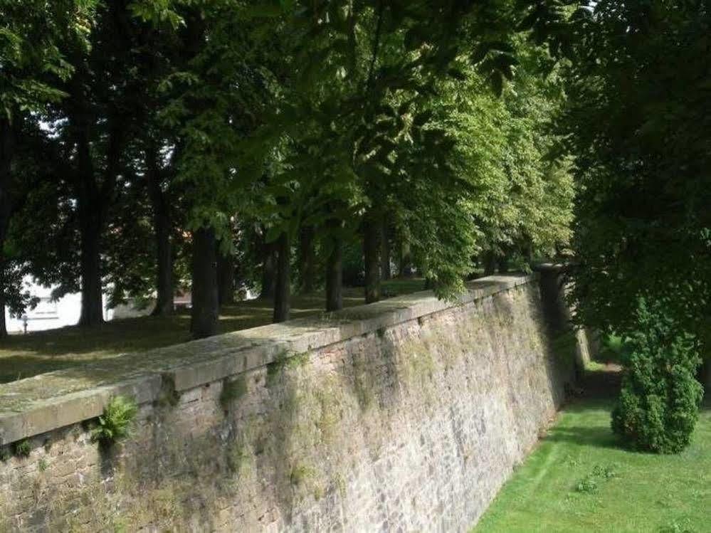 Chambres D'Hotes Le Domaine Des Remparts Selestat Exterior photo
